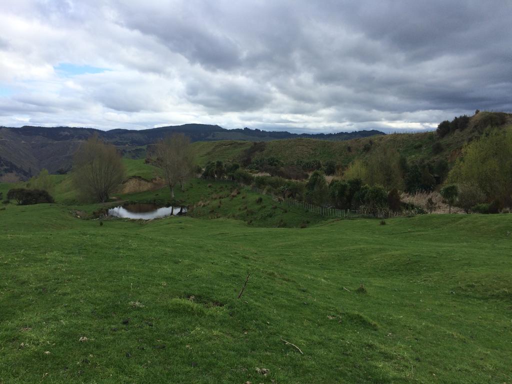 Ohuka Lodge Tuai 외부 사진