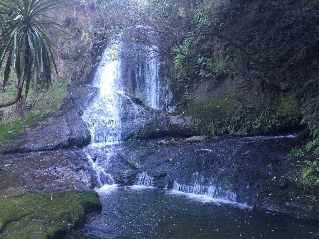 Ohuka Lodge Tuai 외부 사진