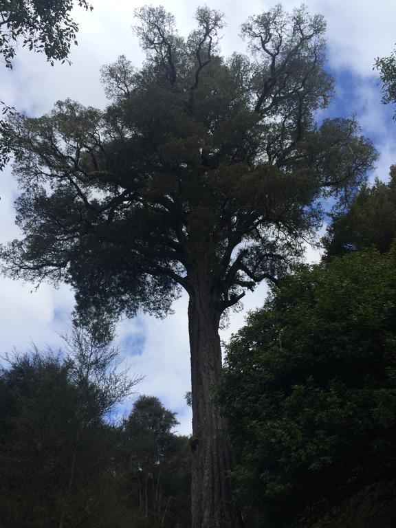 Ohuka Lodge Tuai 외부 사진